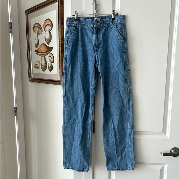 Aritzia Sunday best denim jeans baggy sz 26 choosy