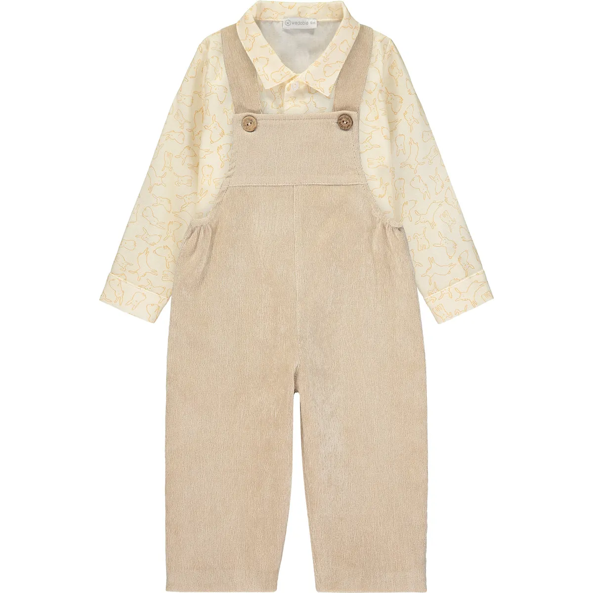 Baby Boy Shirt and Dungarees Outfit Set