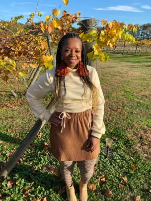 Brown Pleaded Skirt