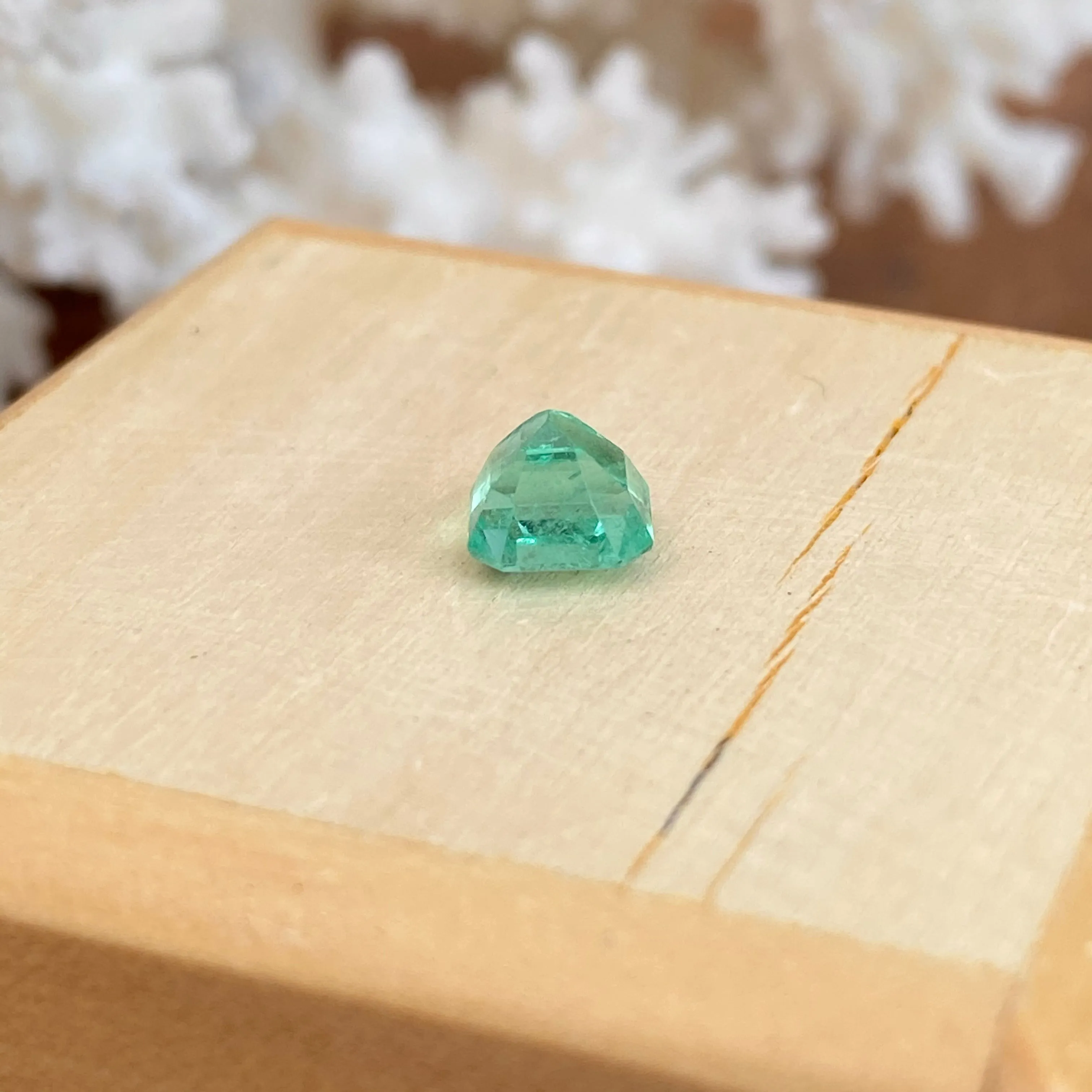 Colombian Emerald Cut/ Cushion Cut Loose Emerald 1.20 CT