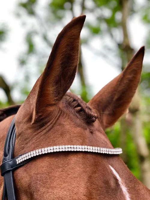 Grooming Forelock Plaiting Grippers