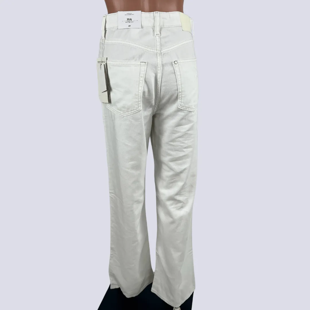 H&M Barrel High Waste Wide Leg Jean 8