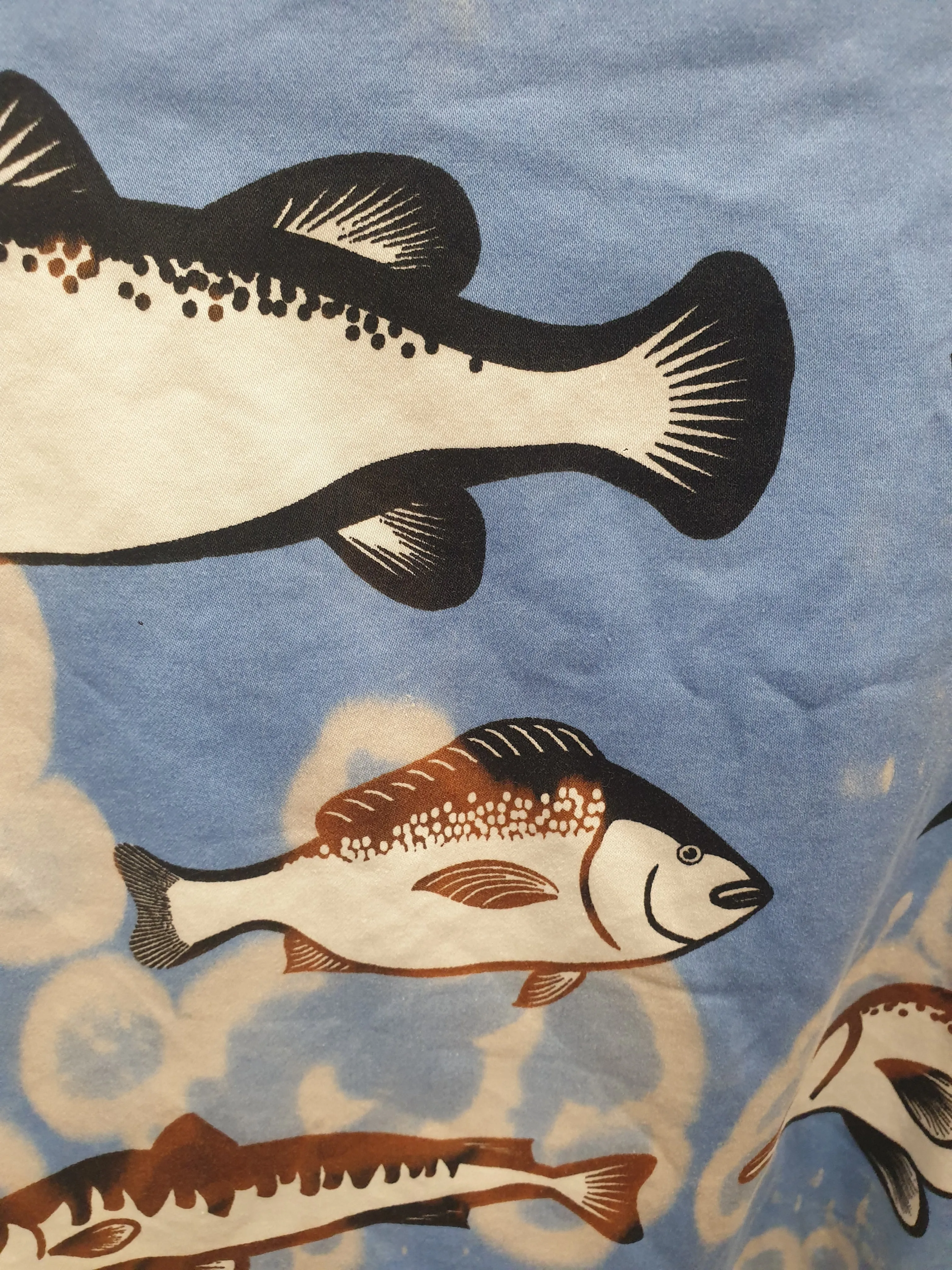Jericho Road blue fish print size 10