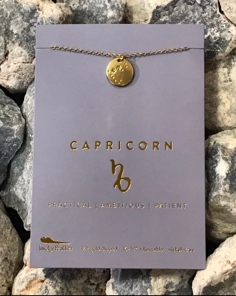 Lucky Feather Zodiac Astrology Necklace - Capricorn Glow Fish Studios