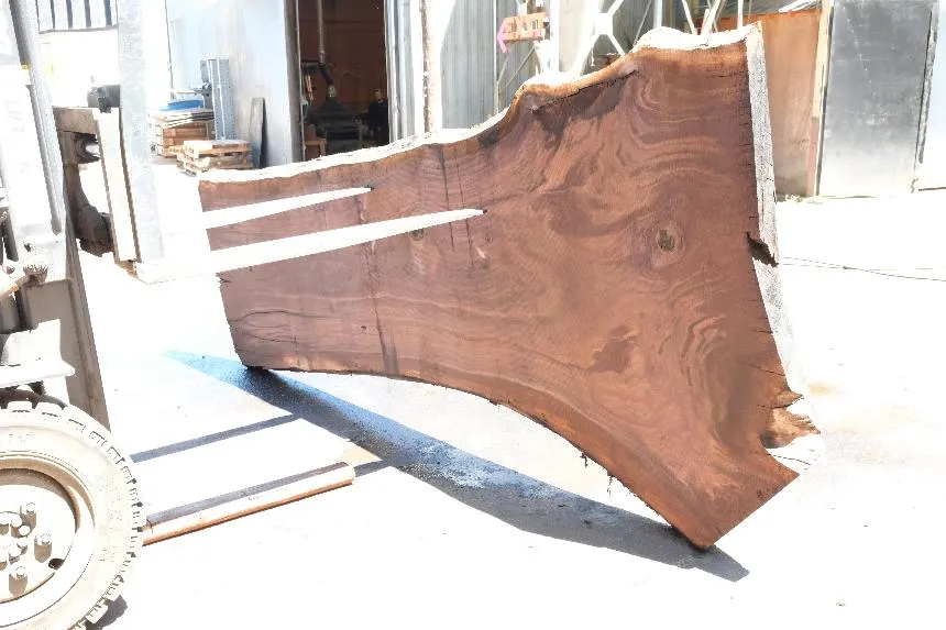 Oregon Black Walnut Slab 063023-07