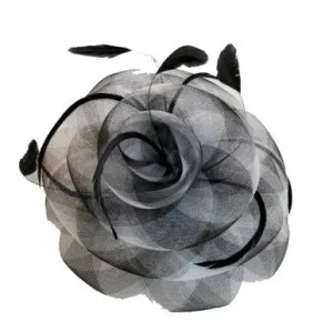 "lexi" ~ black/white