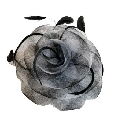 "lexi" ~ black/white