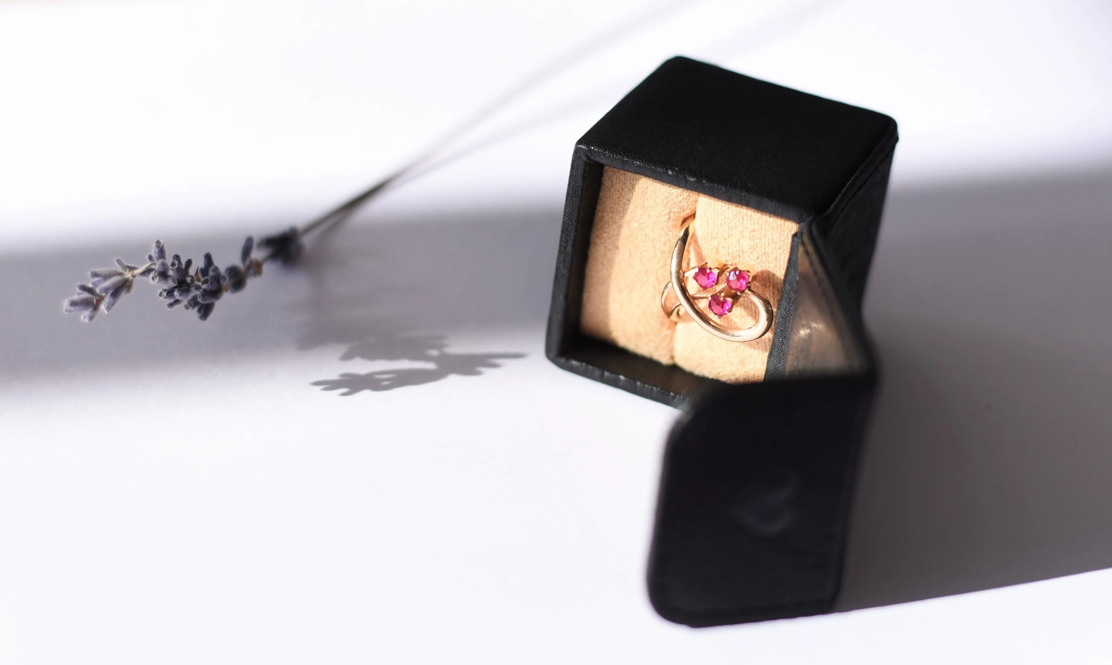 Ring Box
