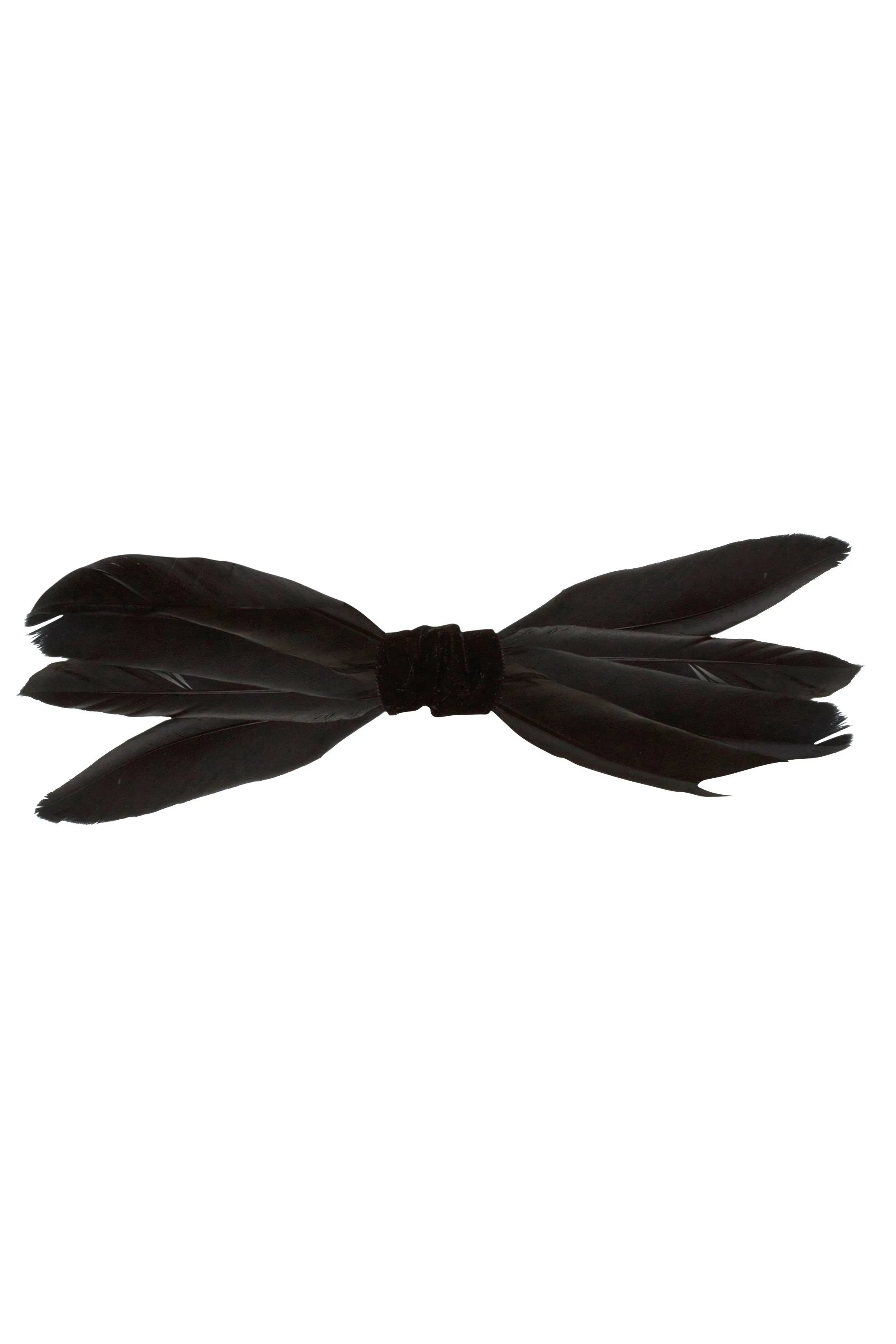 Skinny Feather Bowtie/Clip - Black