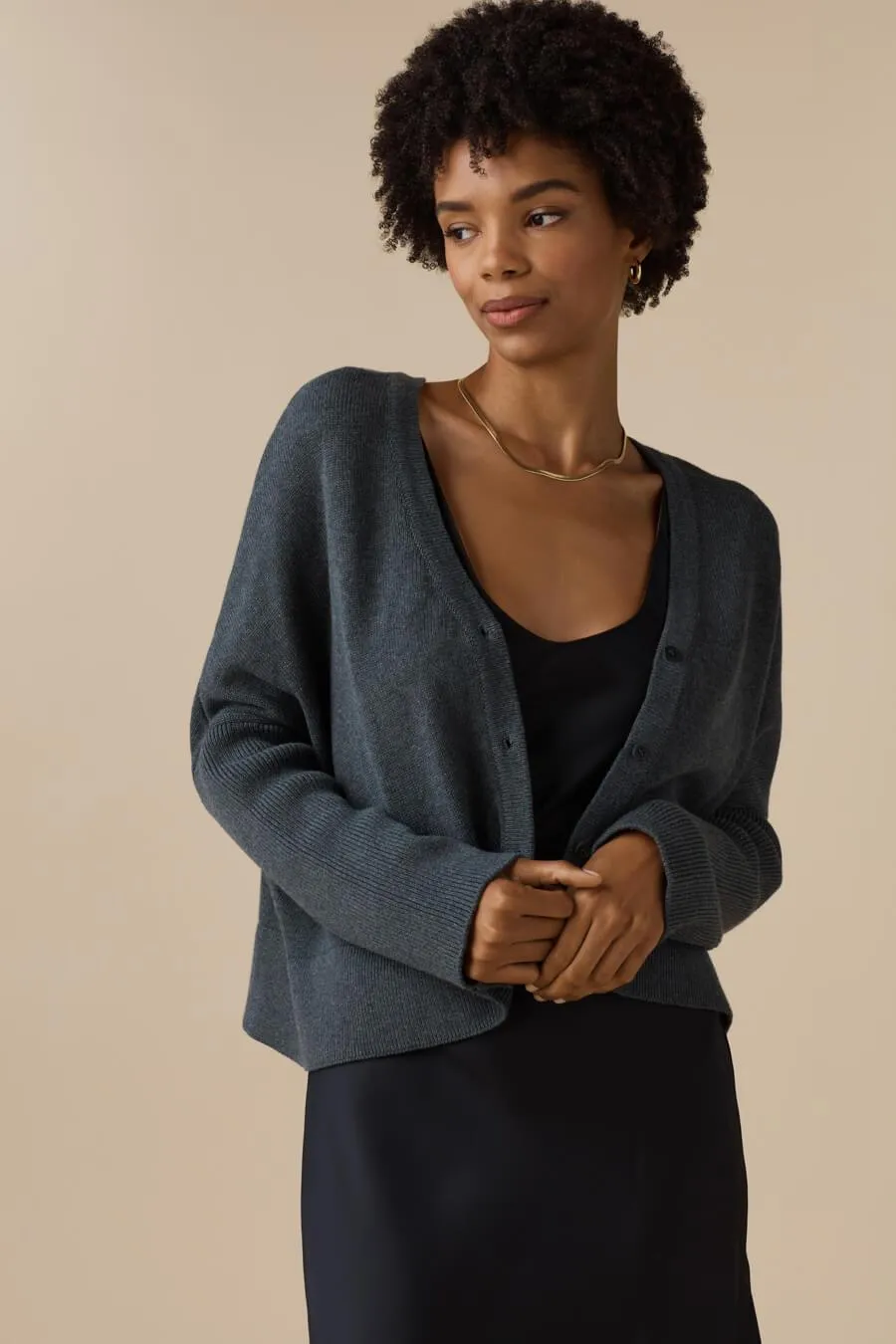 The Cropped V-Neck Sweater